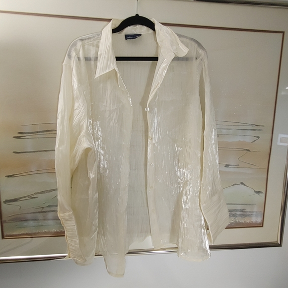 Addition-Elle Chiffon Long Sleeve Blouse Size 22 - Picture 6 of 8